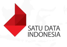 SATU DATA